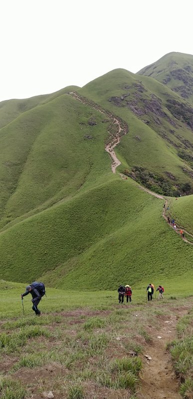 微信图片_2019050511401291