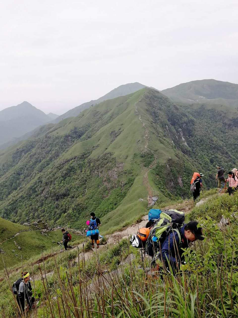 微信图片_2019050511401293