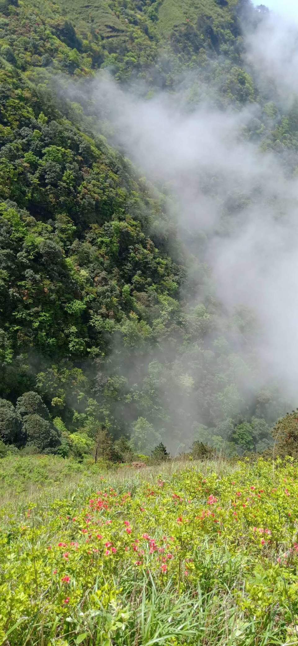 微信图片_2019050511401295