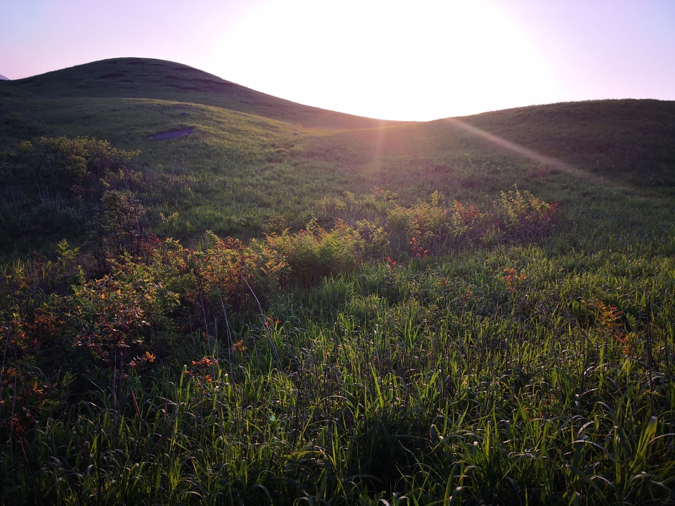 微信图片_2019050511424910