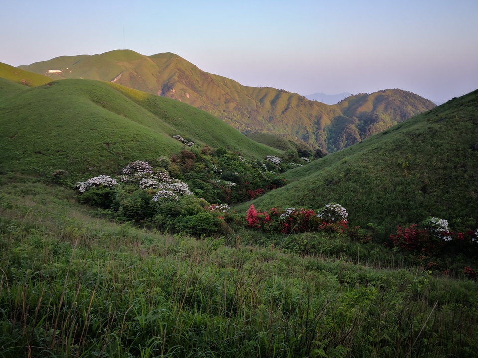 微信图片_2019050511424911