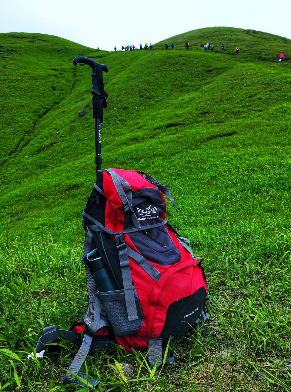 微信图片_2019050511424919