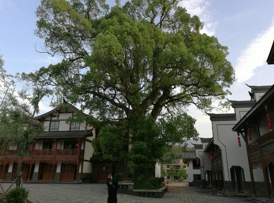 微信图片_2019050511424921