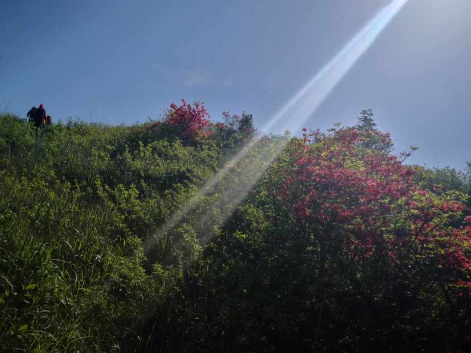 微信图片_2019050511424925