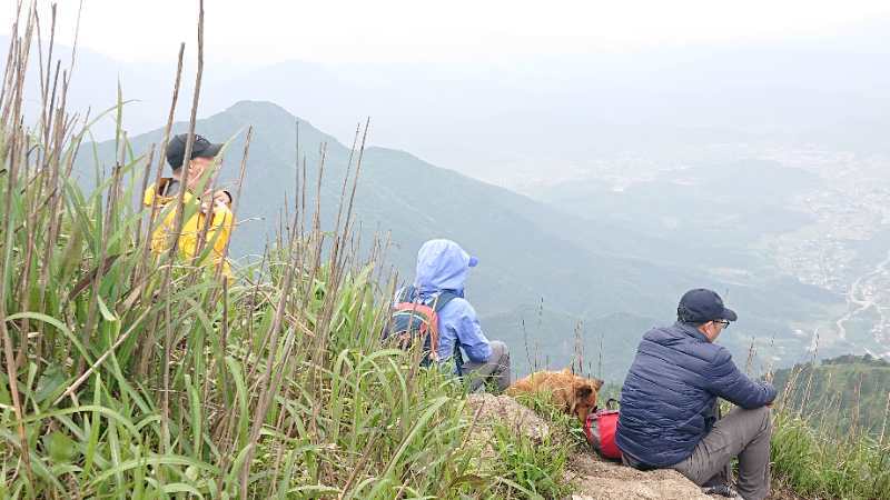 微信图片_2019050511424934