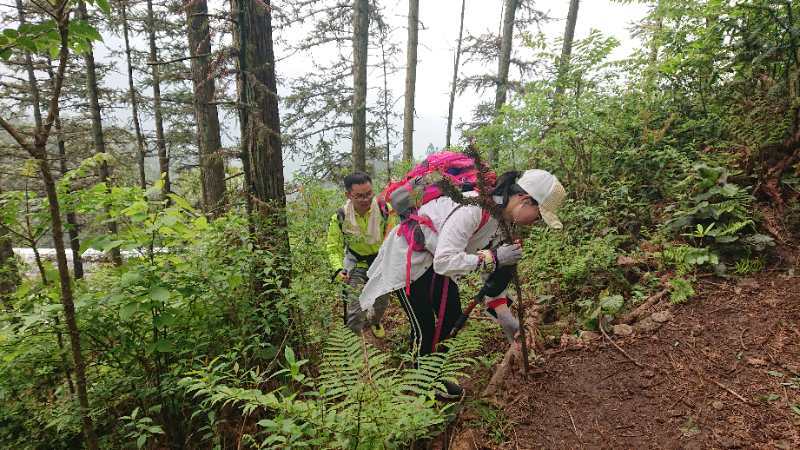 微信图片_2019050511424936