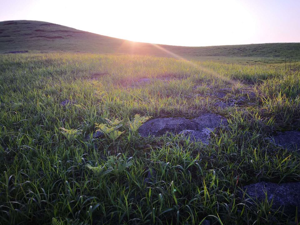 微信图片_2019050511424953