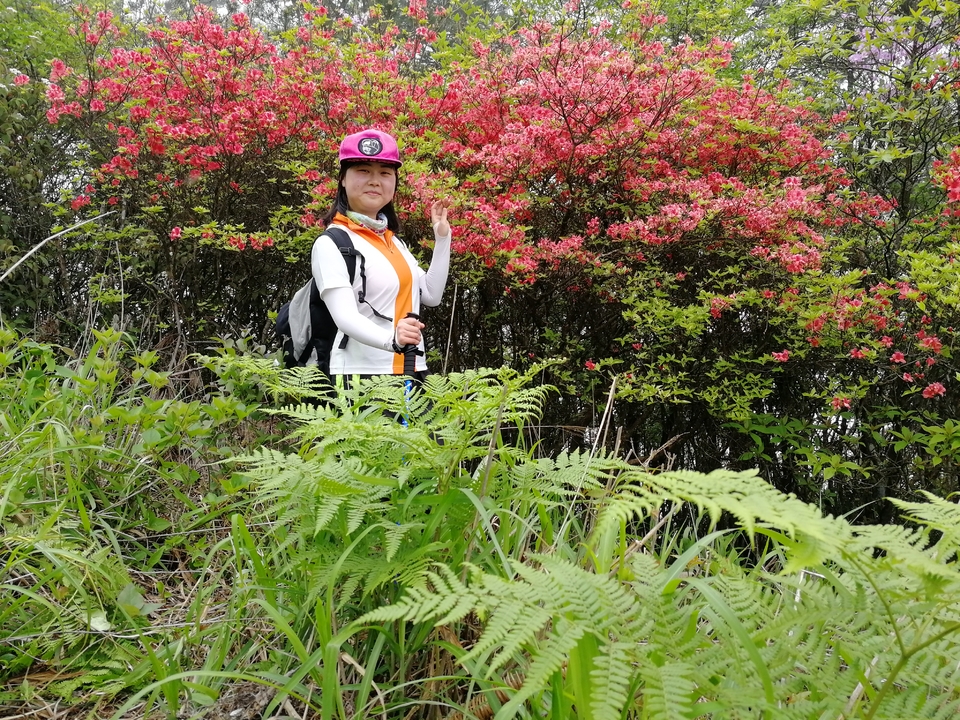 微信图片_2019050511424954