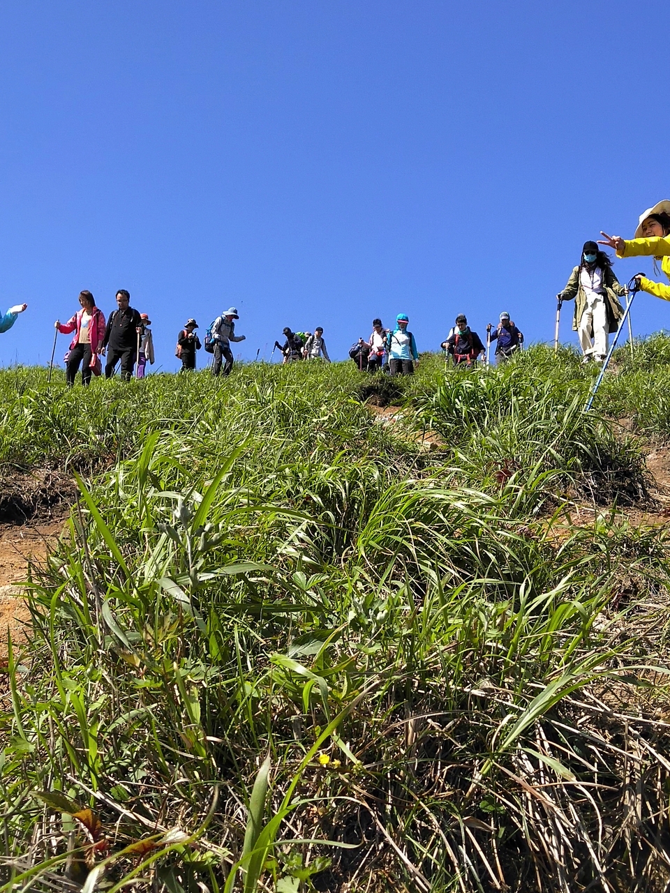 微信图片_2019050511424957