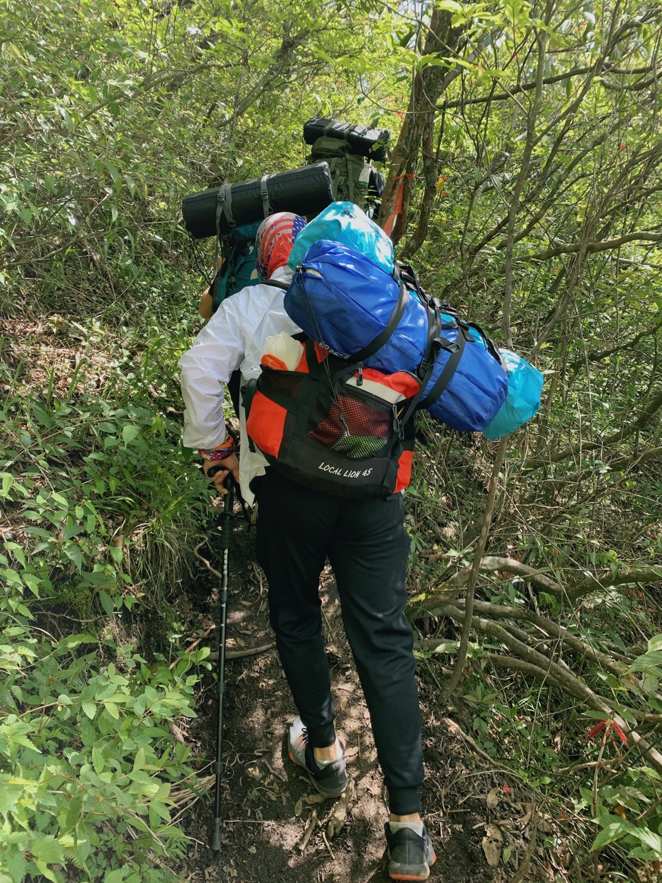 微信图片_2019050511424964