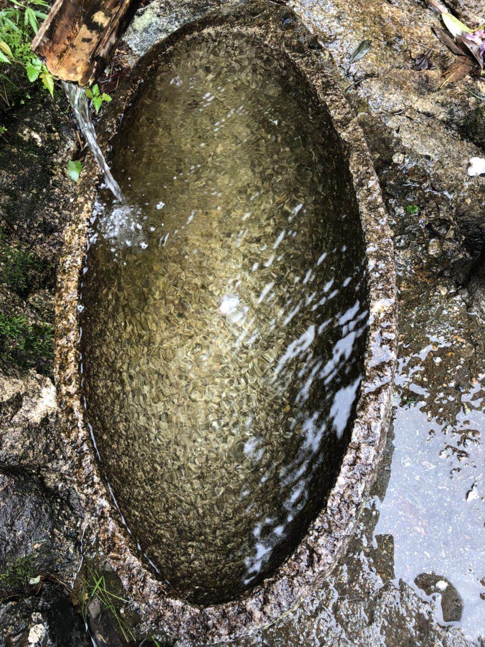 微信图片_2019050511424994