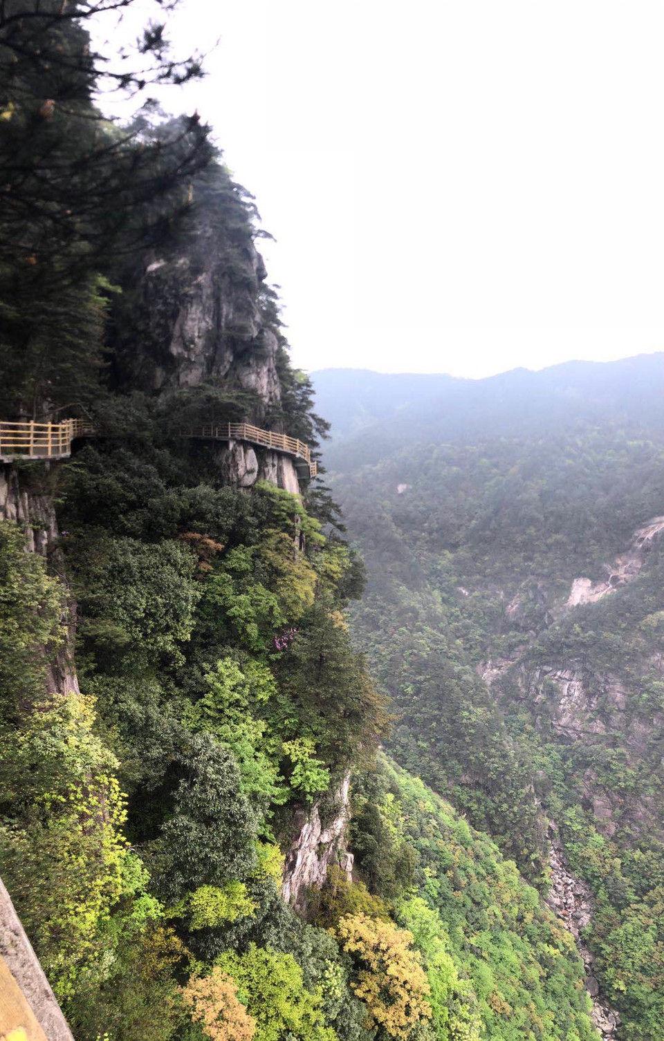 微信图片_2019050511424995