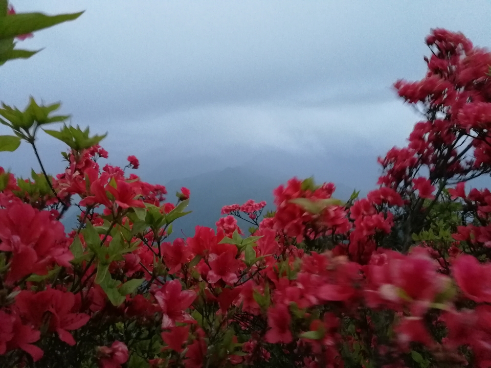 微信图片_2019050511454310