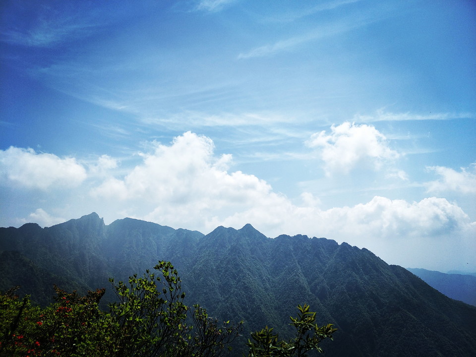 微信图片_2019050511454316