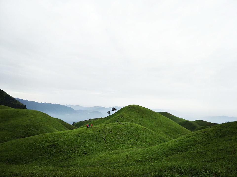 微信图片_2019050511454317