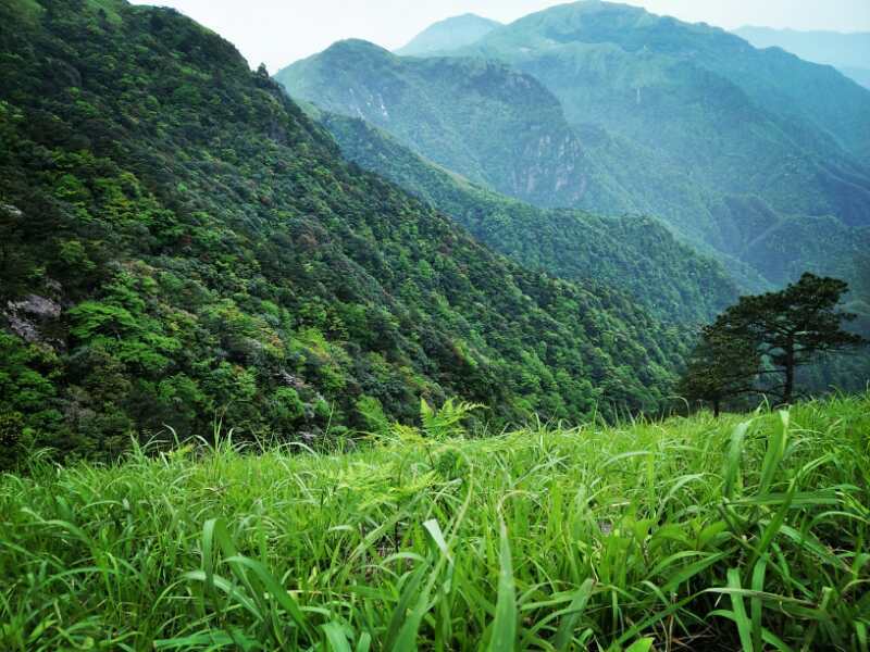 微信图片_2019050511454323