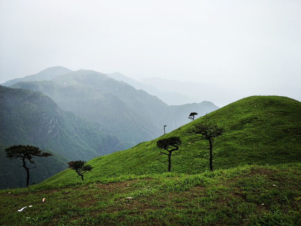 微信图片_2019050511454329