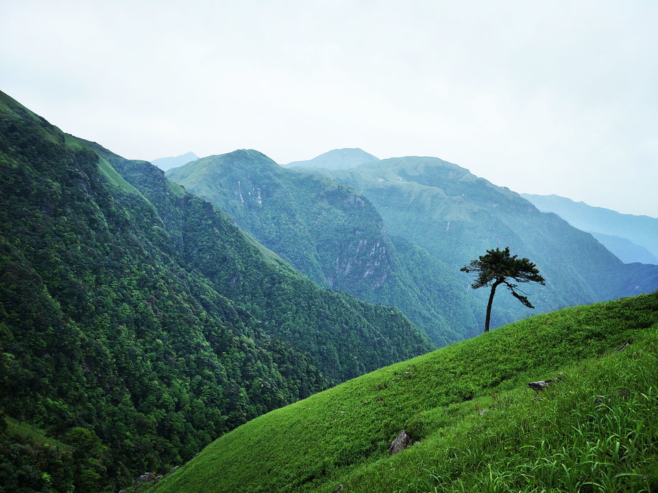 微信图片_2019050511454331
