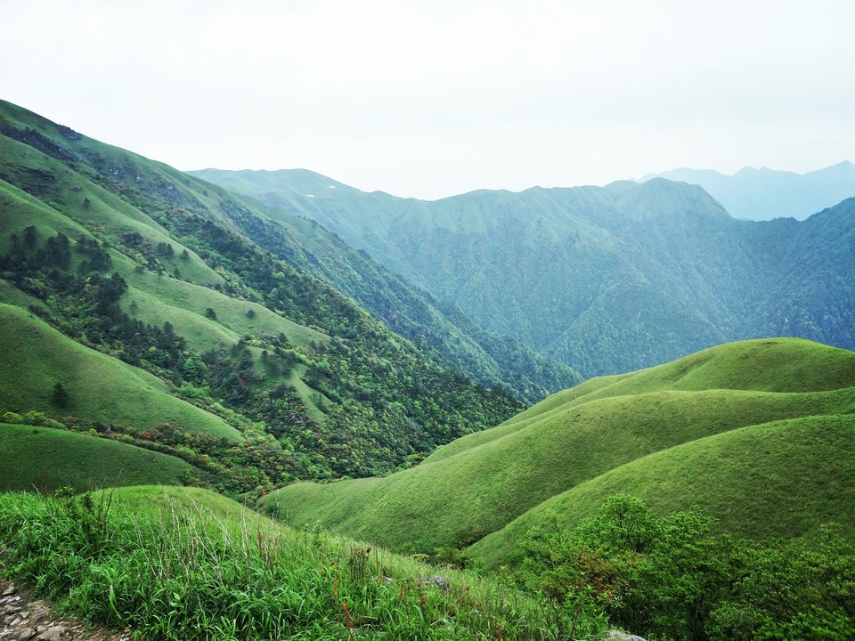 微信图片_2019050511454332