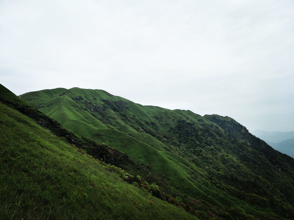 微信图片_2019050511454333