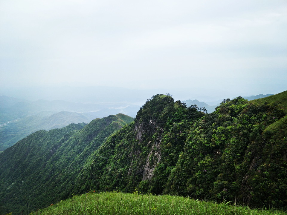 微信图片_2019050511454334