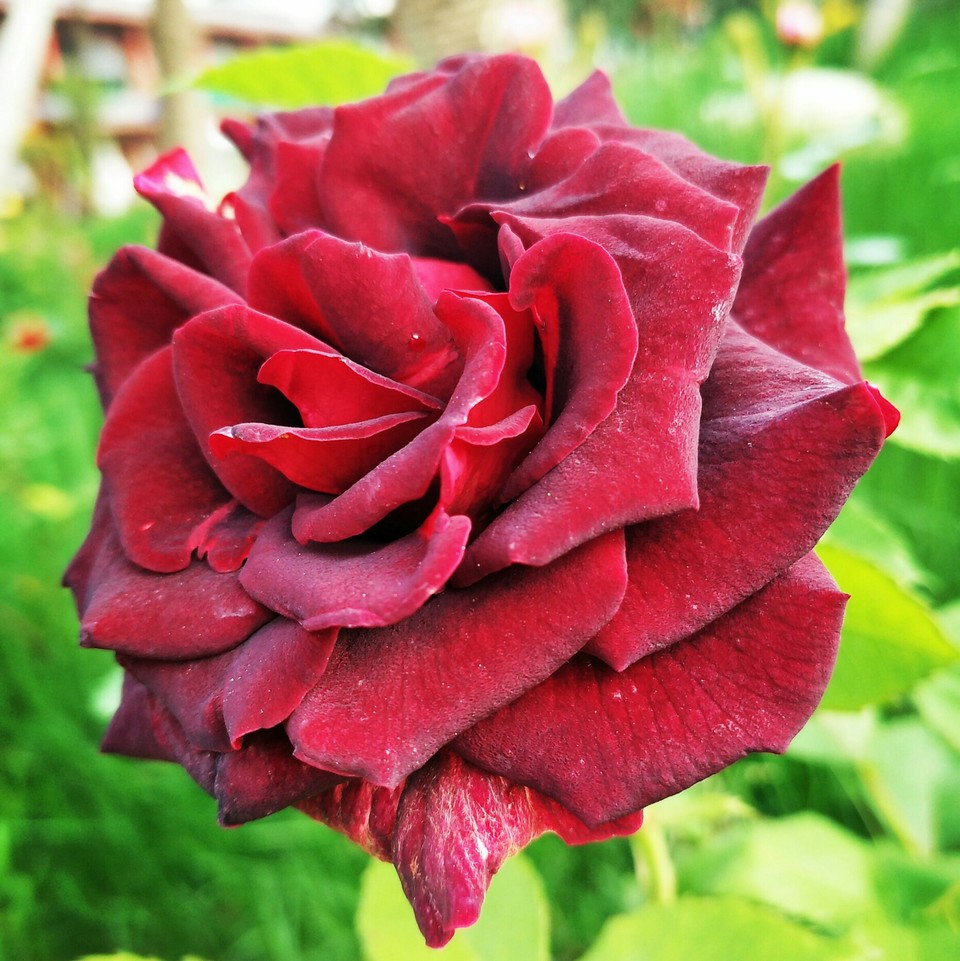 微信图片_2019050511454335