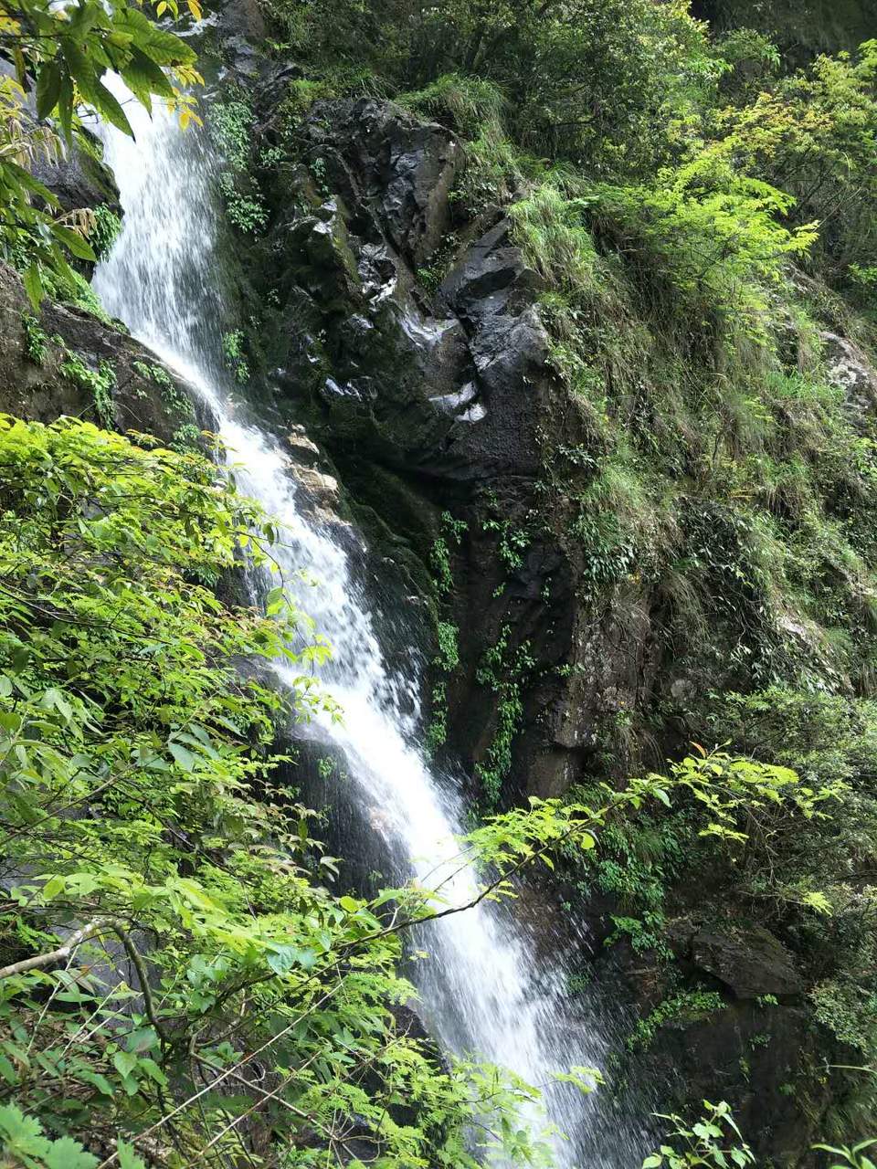 微信图片_2019050511454342