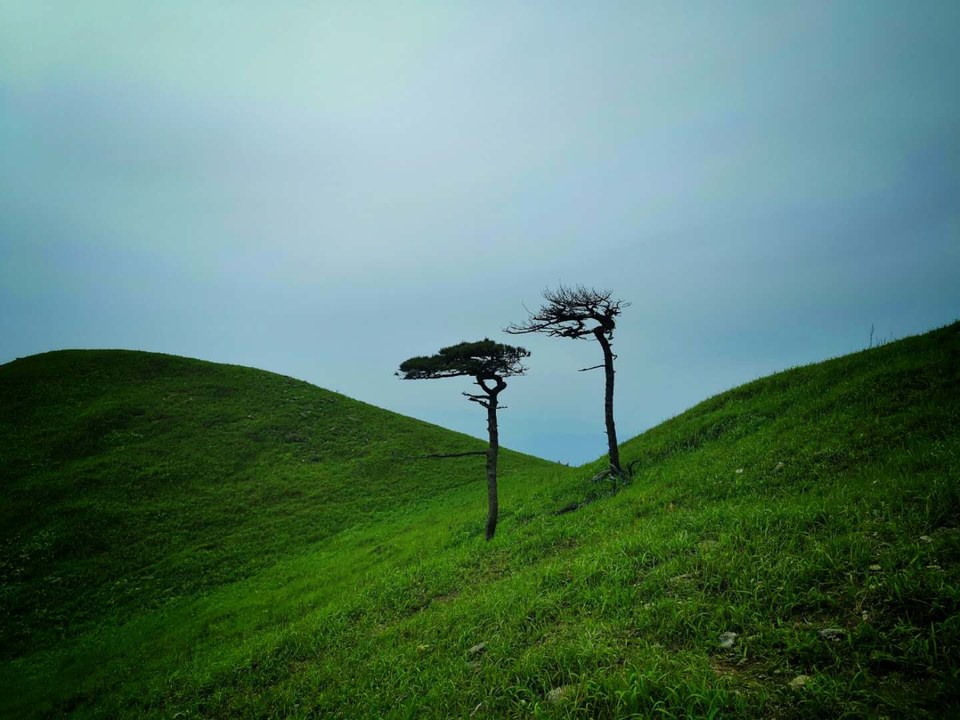 微信图片_2019050511454345