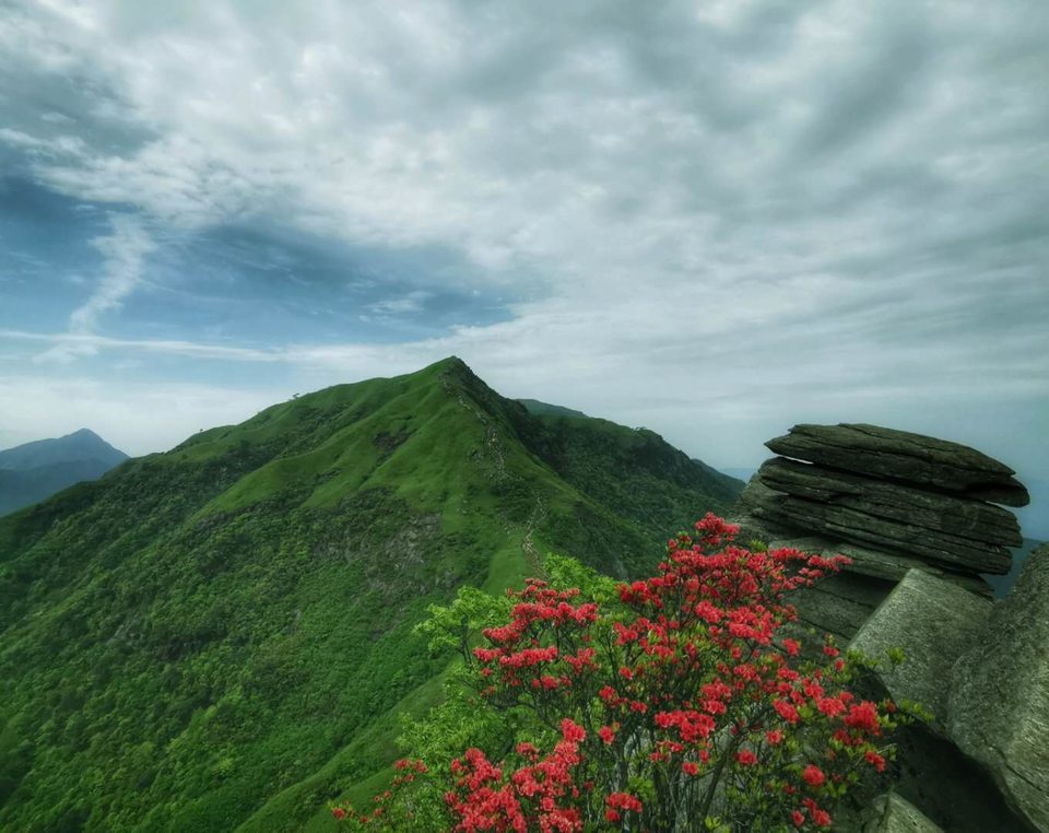 微信图片_2019050511454350