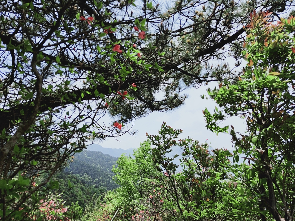 微信图片_2019050511454360