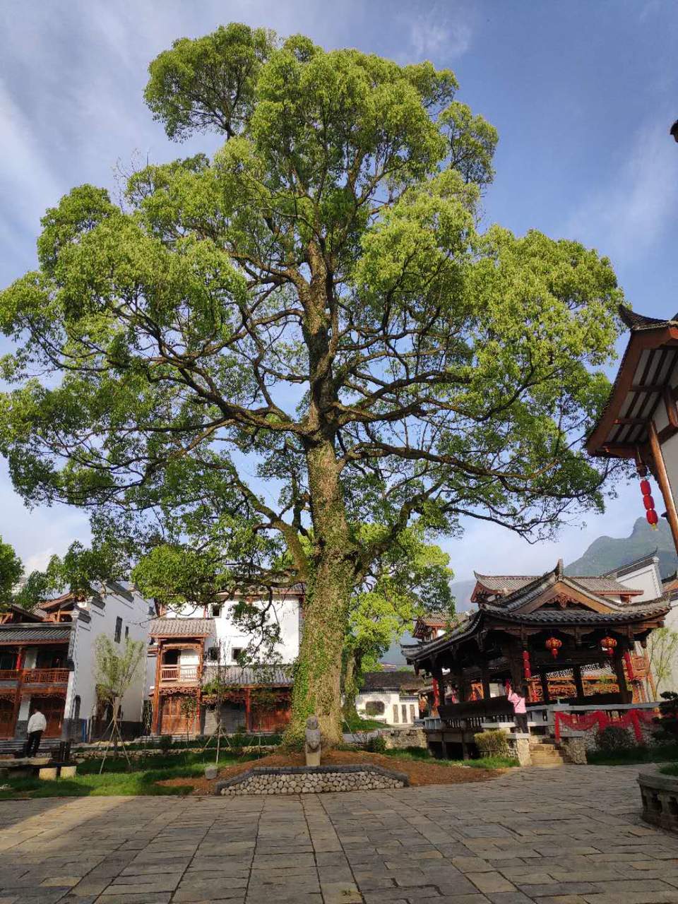 微信图片_2019050511454365