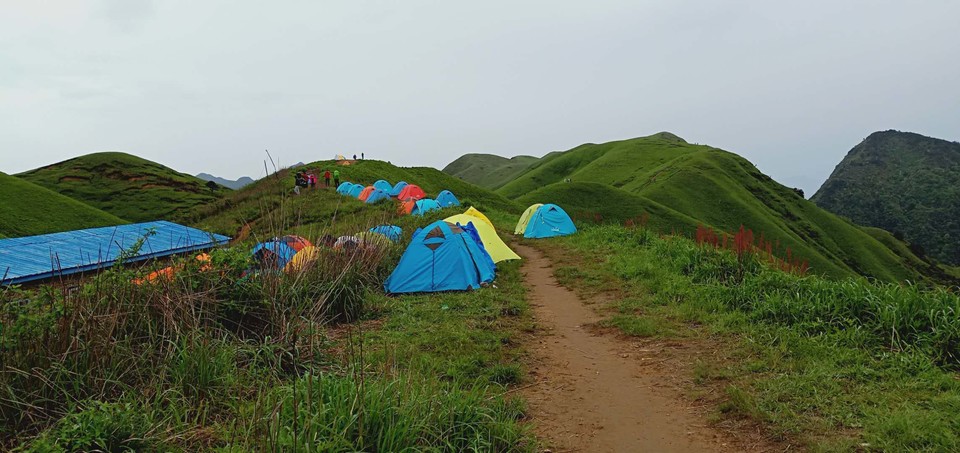 微信图片_2019050511454368