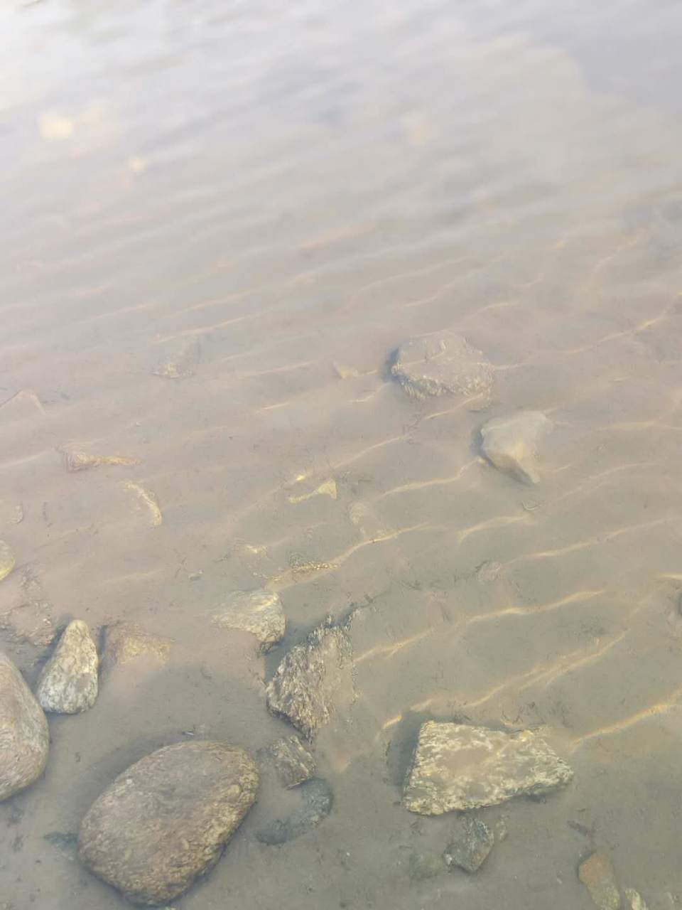 微信图片_2019050511454371