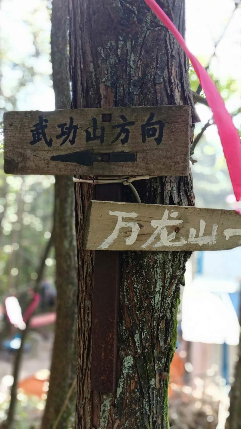 微信图片_2019050511454374