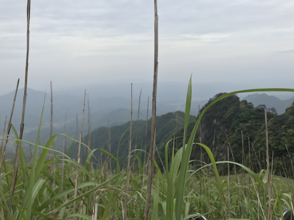 微信图片_2019050511454377