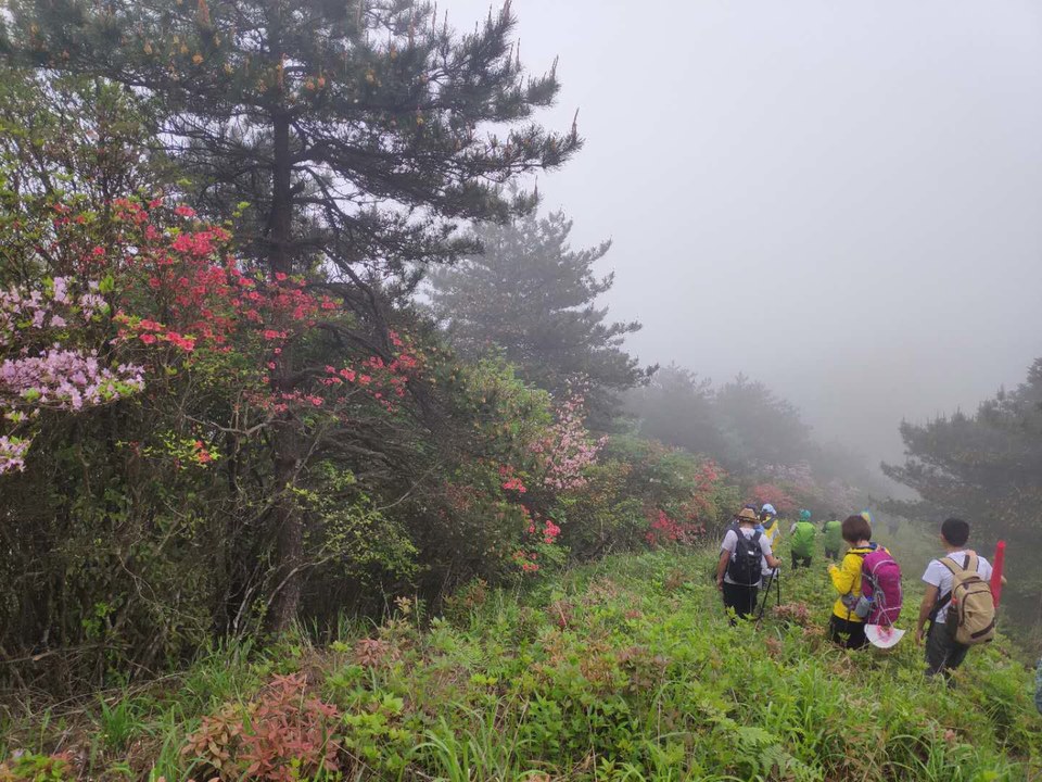 微信图片_2019050511454412