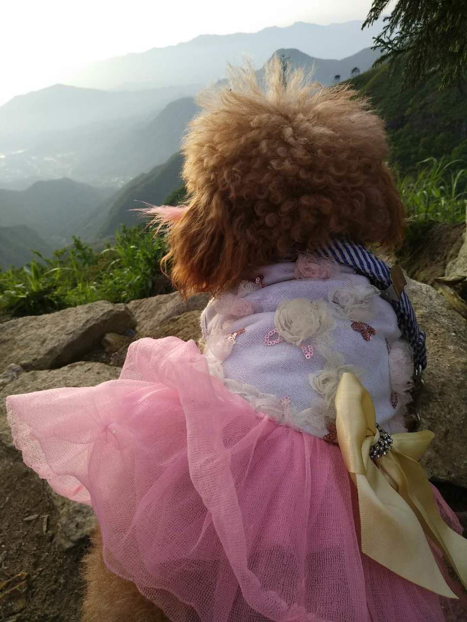 微信图片_2019050511454413