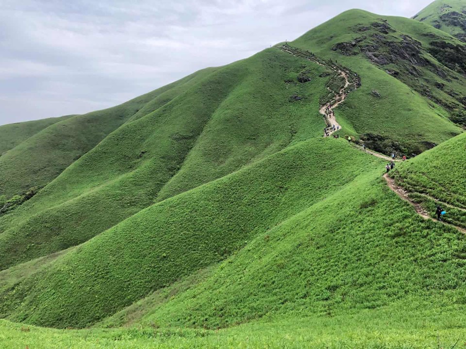 微信图片_2019050511454418