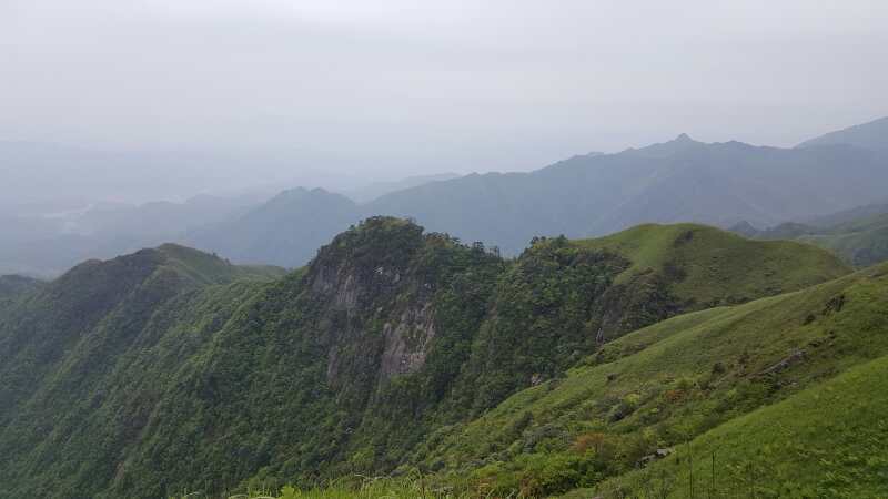 微信图片_2019050511454419