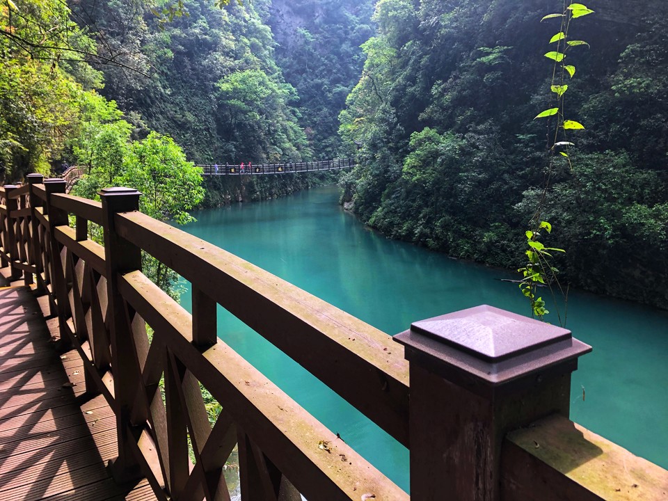 微信图片_201905051401483