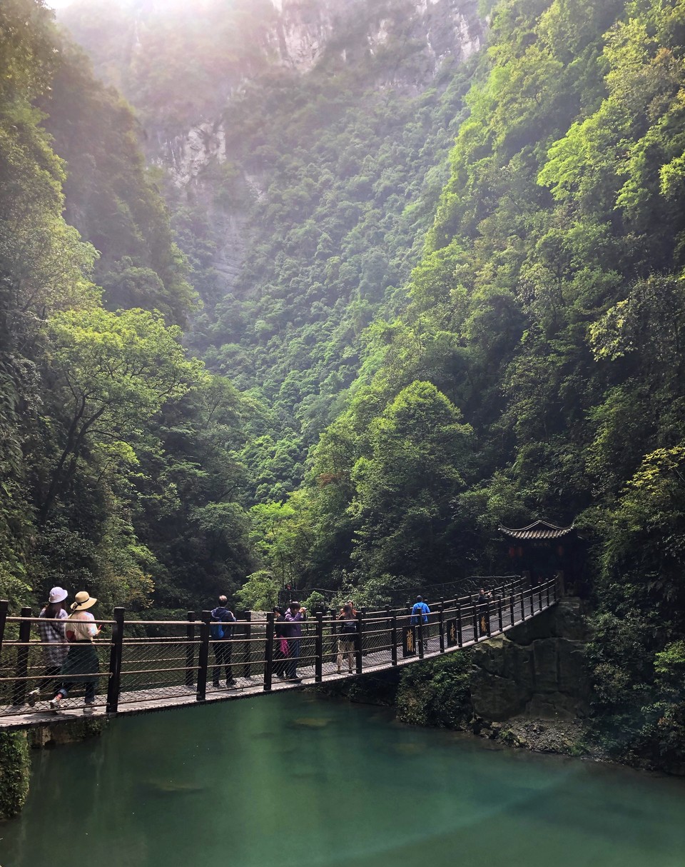 微信图片_201905051401484