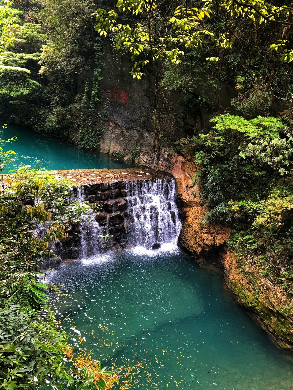 微信图片_201905051401485