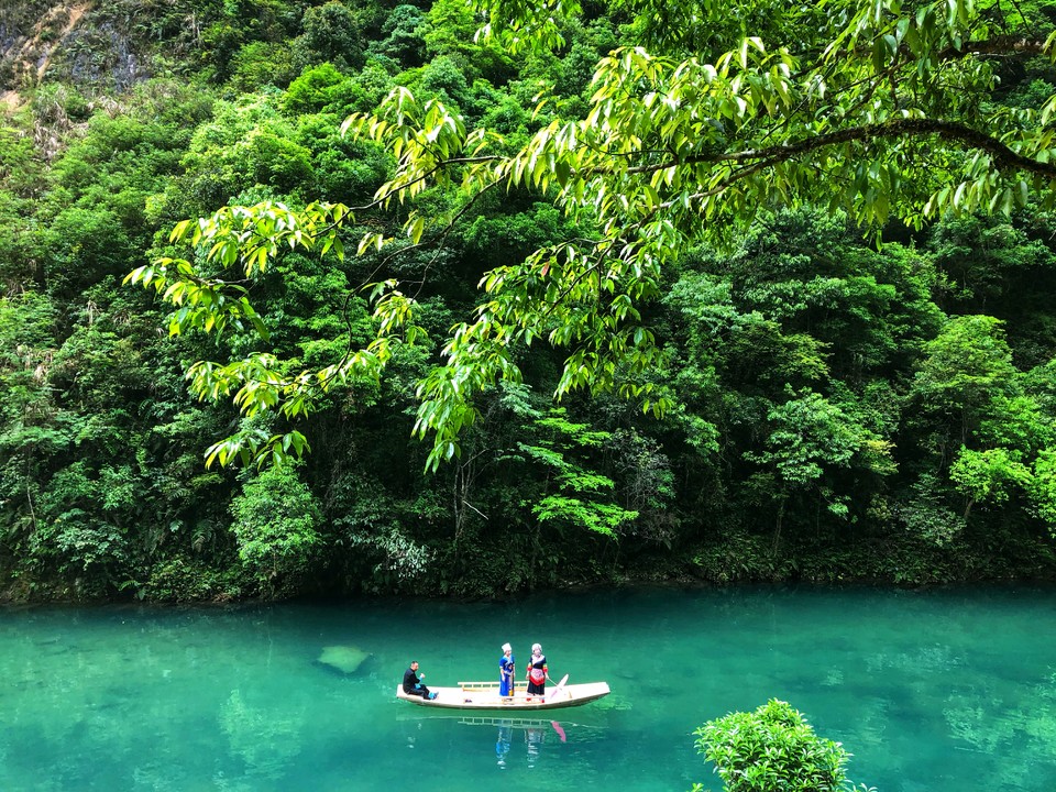 微信图片_201905051401486