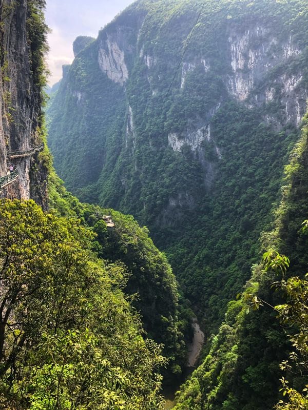 微信图片_201905051401487