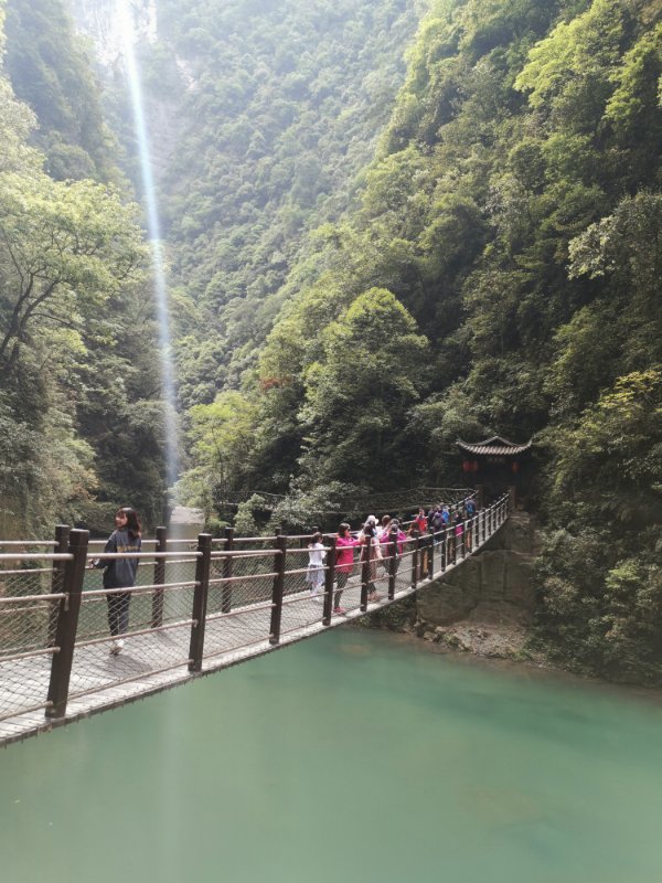 微信图片_2019050513592610