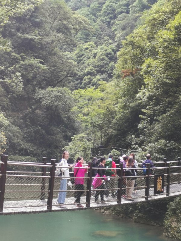 微信图片_2019050513592617