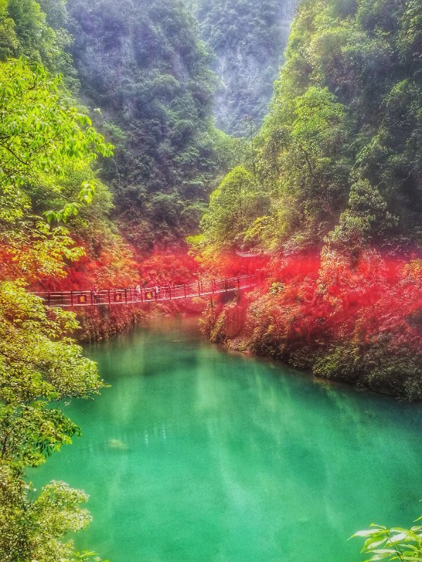 微信图片_2019050513592618