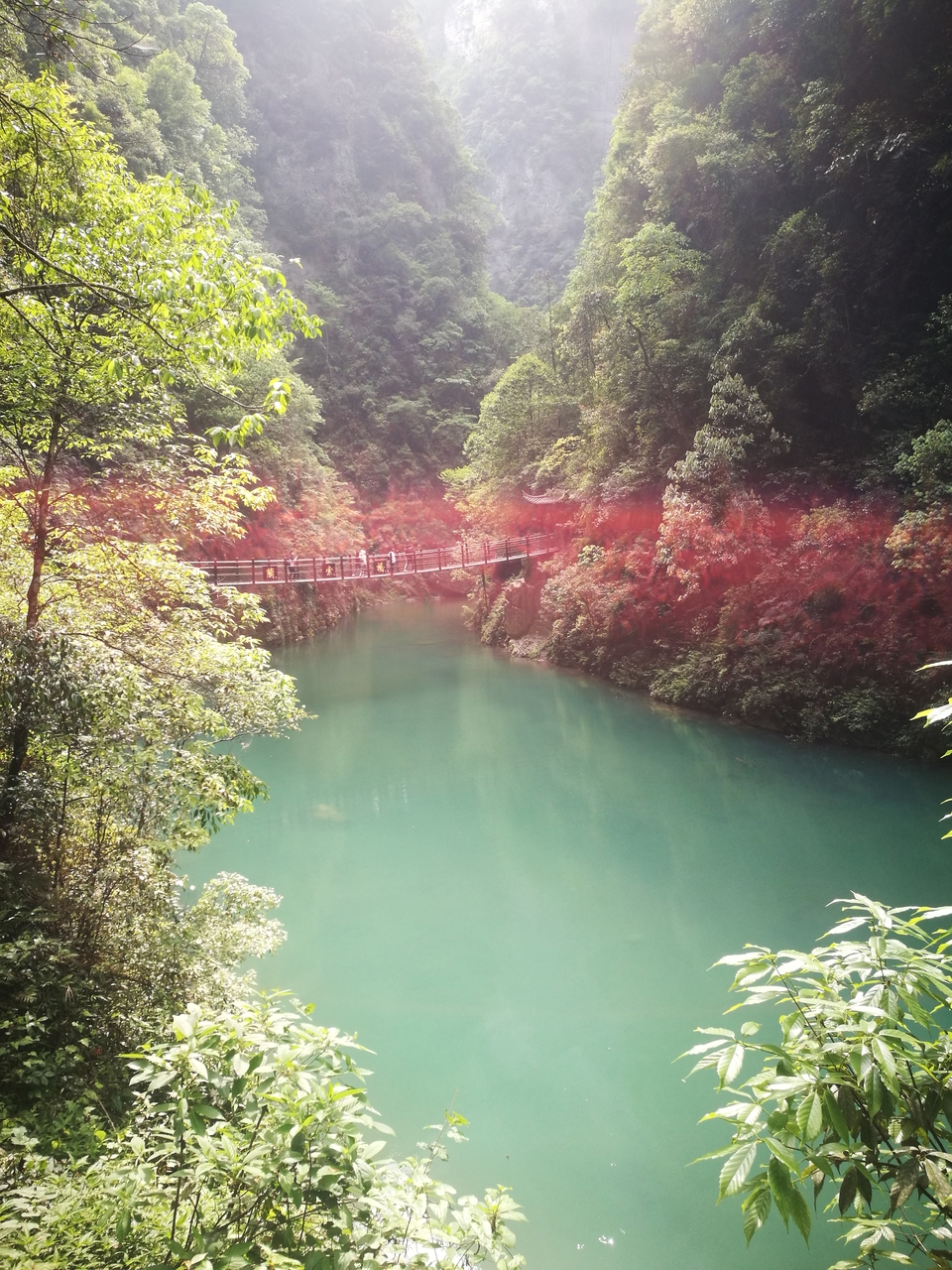 微信图片_2019050513592625