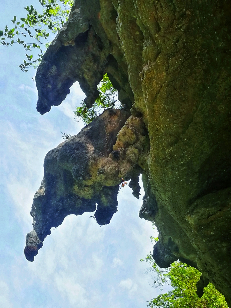 微信图片_2019050513592633