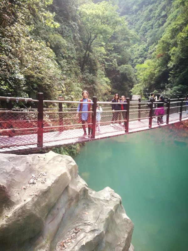 微信图片_2019050513592642